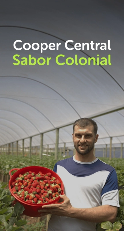 cooper_central_sabor_colonial_bgs (4)