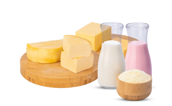 Laticínios e congelados