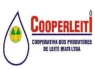 Cooperleiti-