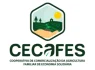 cecafes-